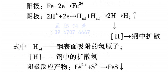 雜 1.jpg 雜 1.jpg