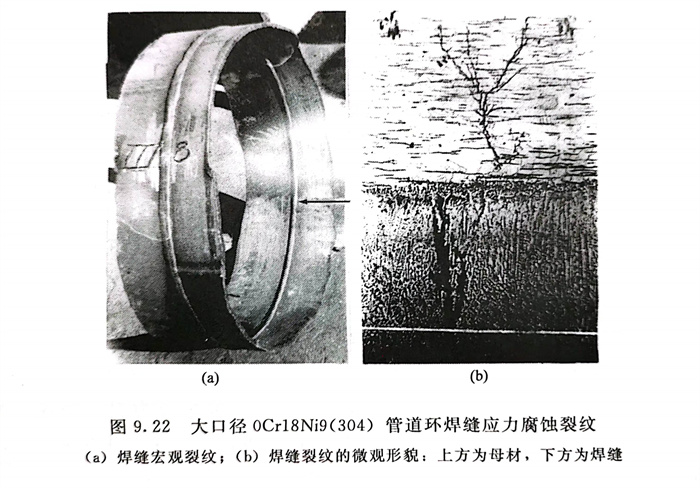 22.jpg 22.jpg